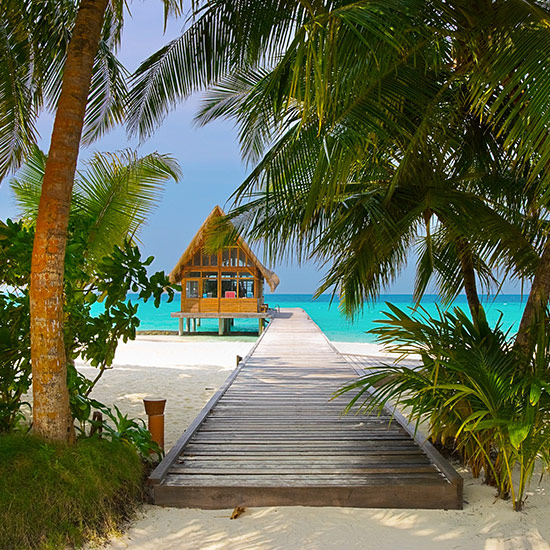 Piscine et cafe sur la plage des Maldives