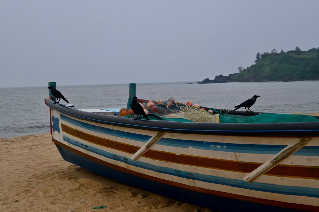 Plages du Kerala