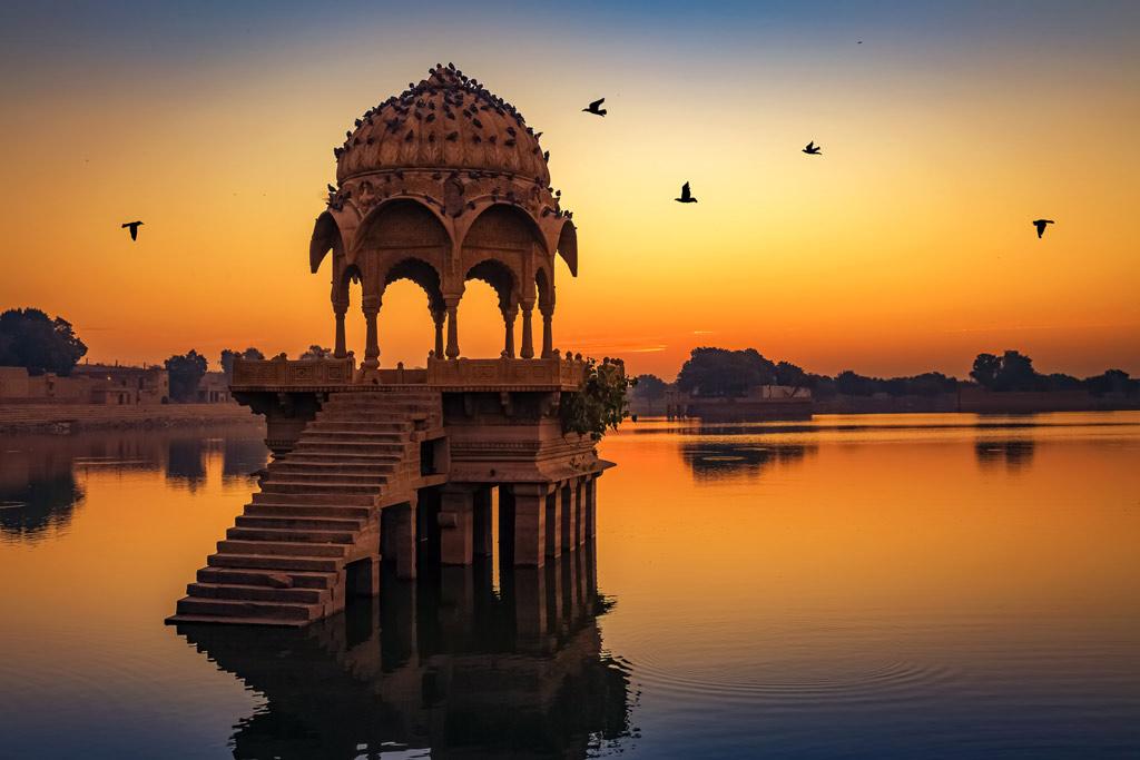 observer les oiseaux au Rajasthan