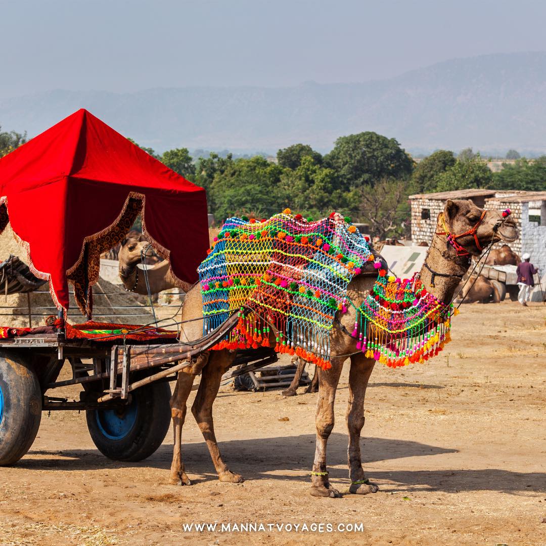 Foire de pushkar