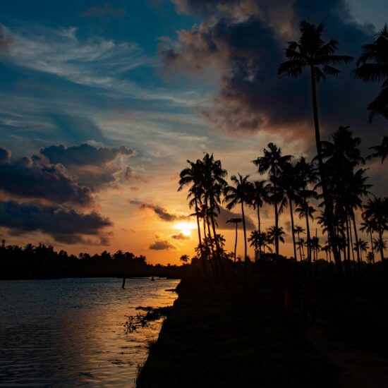 La Beauté Naturelle du Kerala